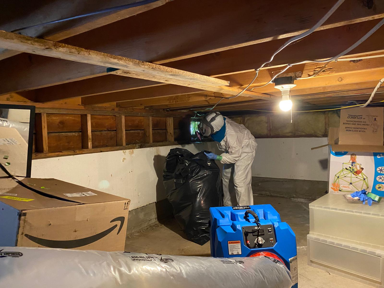 Mold Remediation